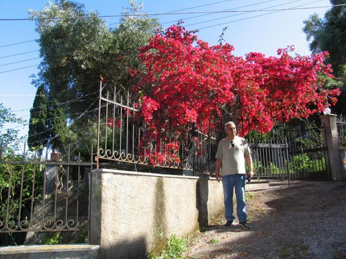 Villa Margarita Agios Ioannis Peristerion Exterior foto
