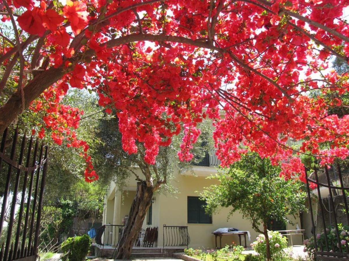 Villa Margarita Agios Ioannis Peristerion Exterior foto